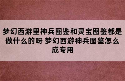 梦幻西游里神兵图鉴和灵宝图鉴都是做什么的呀 梦幻西游神兵图鉴怎么成专用